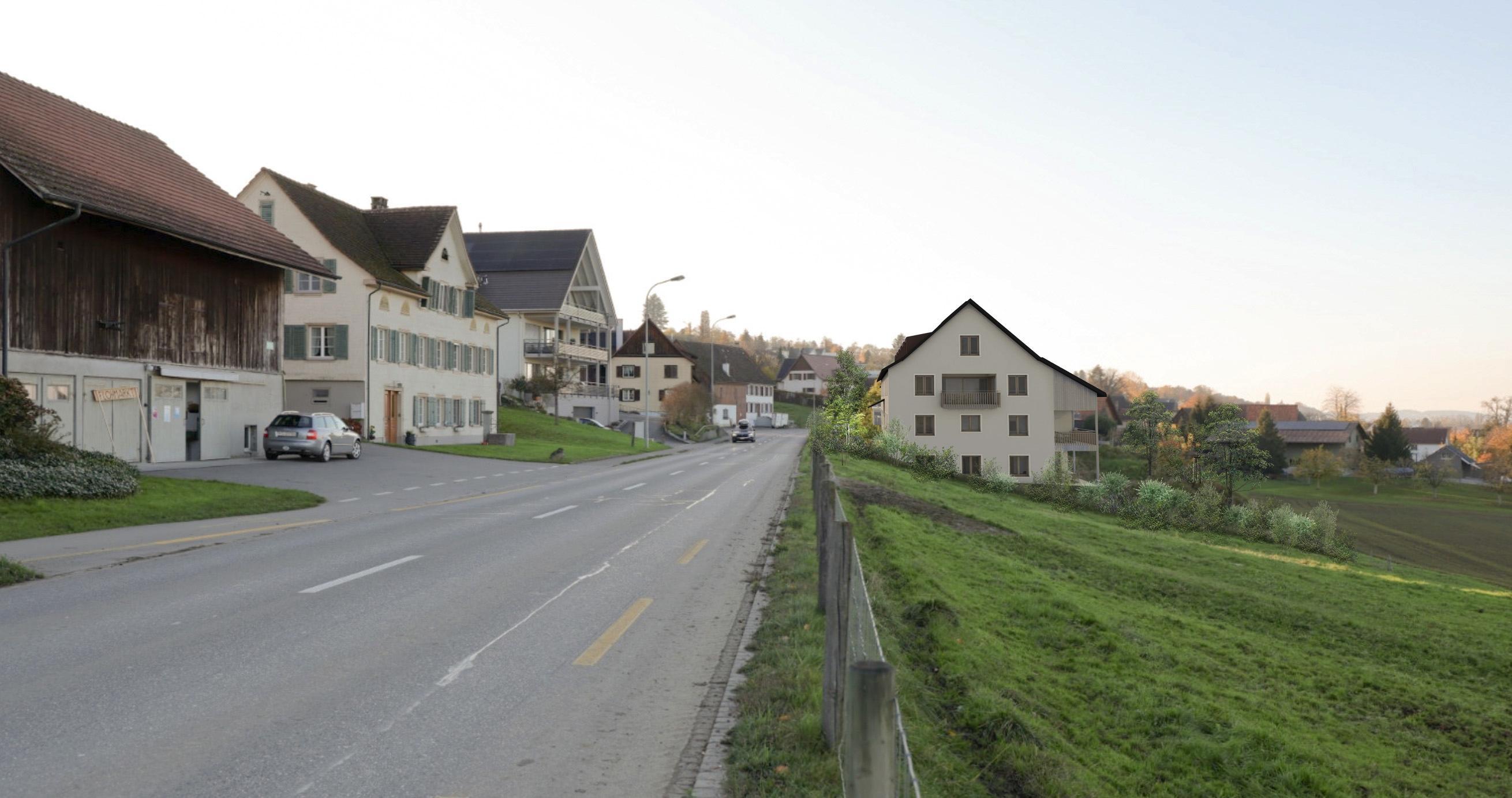Triboltingen – Hauptstrasse: Projektansicht 2